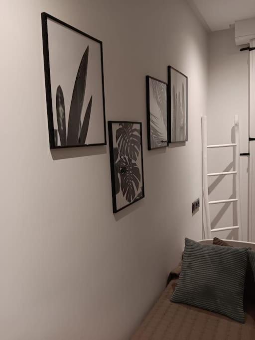Bermudo III Vut-Le-784 Apartment Leon Exterior photo